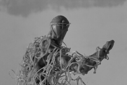 73c71a7325e3624ba955dbb8eb7cbf6456161fa1 73c71a7325e3624ba955dbb8eb7cbf6456161fa1