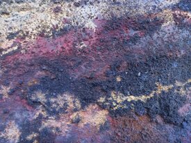 d8cef432492cdd02beaef69485ae6b169e6c4a6c.jpeg d8cef432492cdd02beaef69485ae6b169e6c4a6c.jpeg