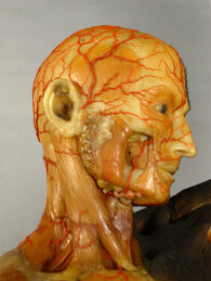 11f1060695bb193e038405573ff972f44b6c93d8