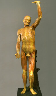 58d7e2da4453809a4ff7721cbeadc52af80f1864