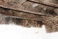 f3e803c6b30380871e52cad00ce63fceb697ce2f