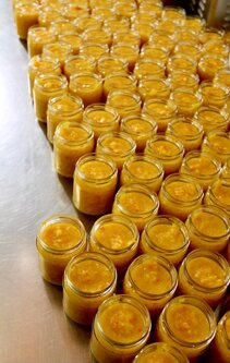 140a4da0fdb731fc99cabf9f8d1b4669bf12c341