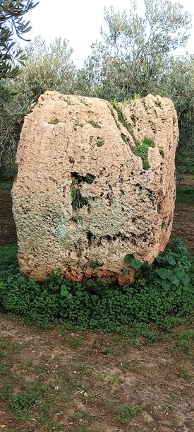 a2f9f7d3951cf5918c8bcfa9faddfe466170e603