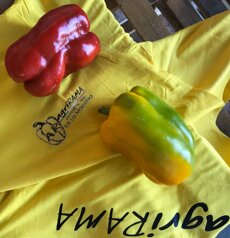 58331572880403ebddae574bcc1cfbf582a16332.jpeg 58331572880403ebddae574bcc1cfbf582a16332.jpeg