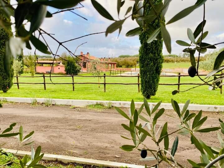 Pranzo di Domenica 30 Novembre Pranzo di Domenica 30 Novembre