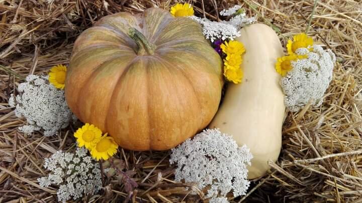 Pranzo di Domenica 23 Novembre Pranzo di Domenica 23 Novembre