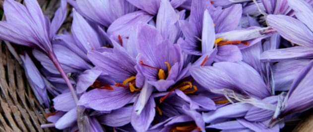 Pranzo di Domenica 15 Febbraio Pranzo di Domenica 15 Febbraio