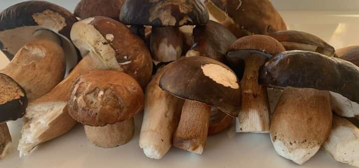 Pranzo di Domenica 29 Marzo Pranzo di Domenica 29 Marzo