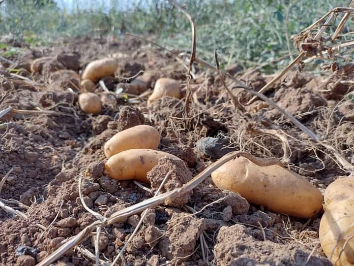Pranzo di domenica 1&deg; Febbraio