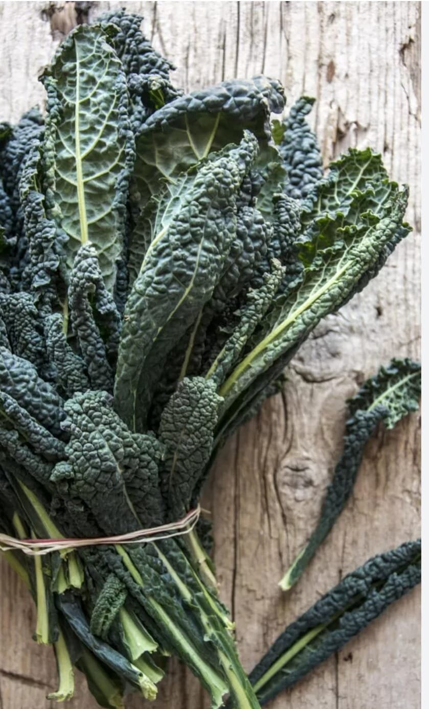 Pranzo di Domenica 7 Dicembre Pranzo di Domenica 7 Dicembre