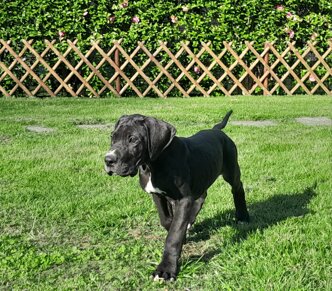 img-20260318-wa0018.jpeg img-20260318-wa0018.jpeg