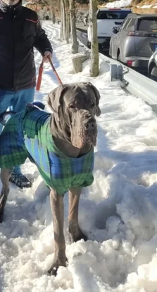 17326_8aecfc3716b17a6bc21101f7c959869c12b44817