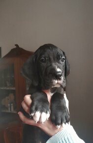 mercury2.jpeg mercury2.jpeg