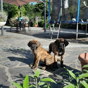 img-20250817-wa0015.jpeg
