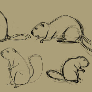 eeb6bf0263f7526d39080184593464cff2faee3d