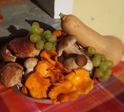 354338d3b7721e8f080b93bf7fdf5bd64b7d9838 354338d3b7721e8f080b93bf7fdf5bd64b7d9838