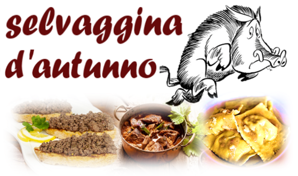 caccia caccia
