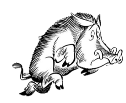 cinghiale