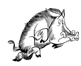 cinghiale