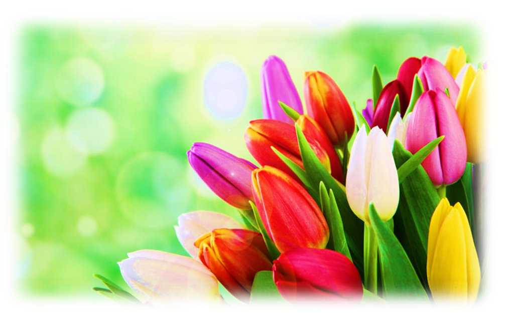 9c8161c42b1c520e51532aa5358b2ef30ee7aa9b