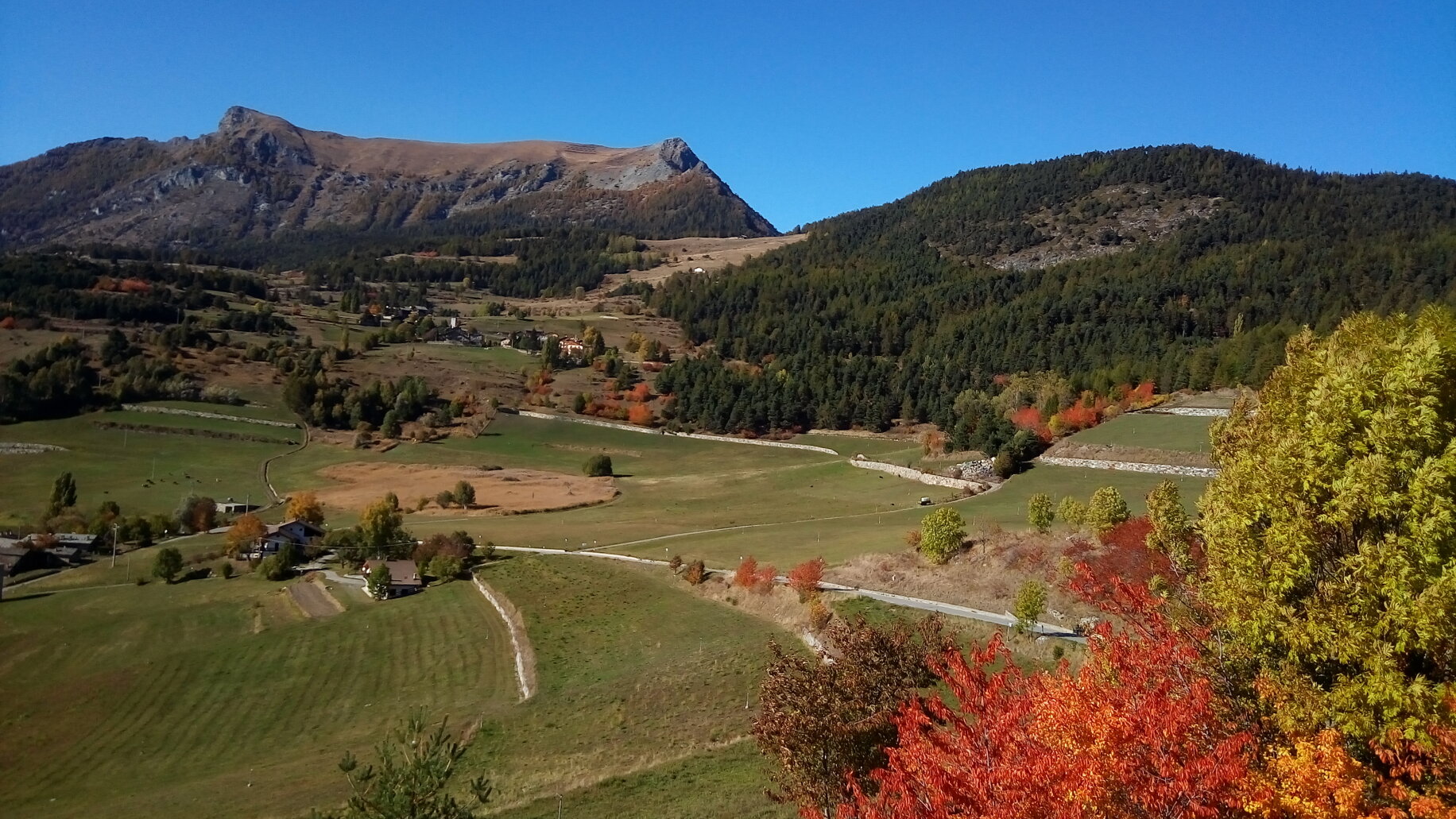 autunno_semonp_20201012_150202 (1).jpeg