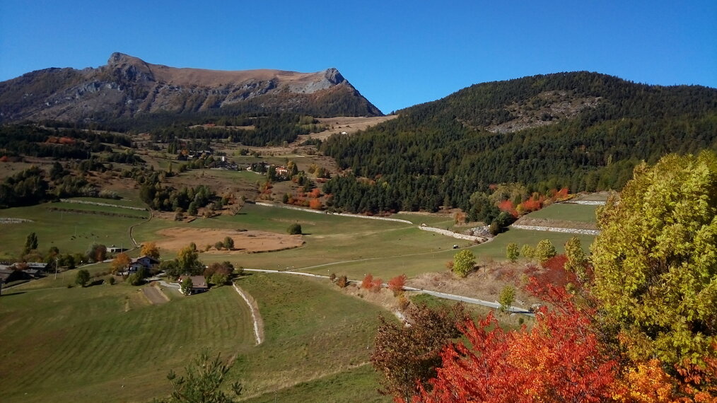 autunno_semonp_20201012_150202 (1).jpeg