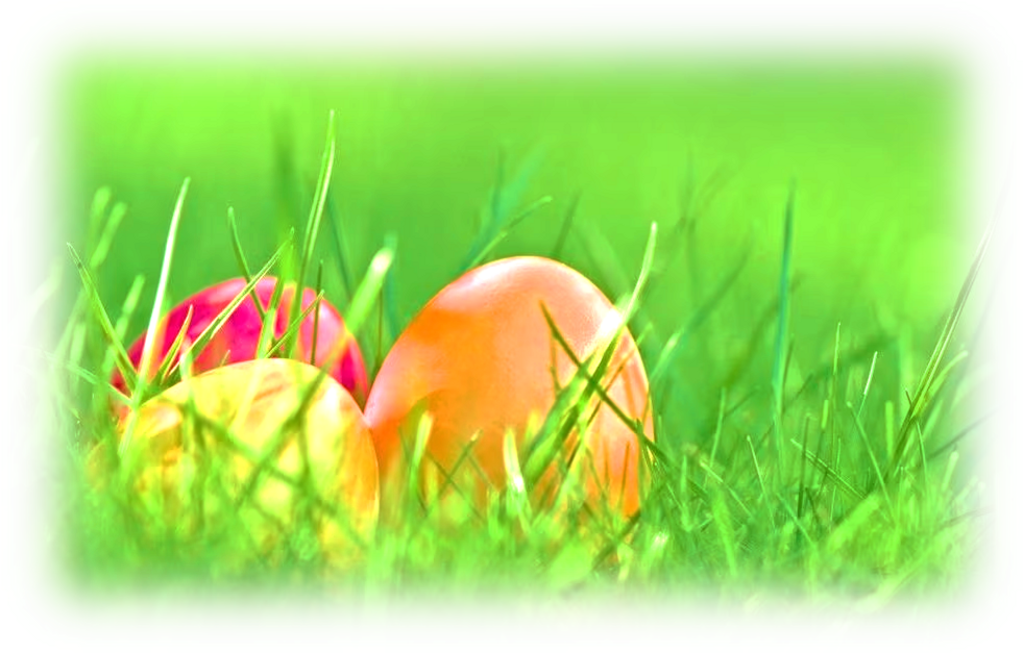 bff3df7901e60ab484eaf54d45532b72e87ca01f