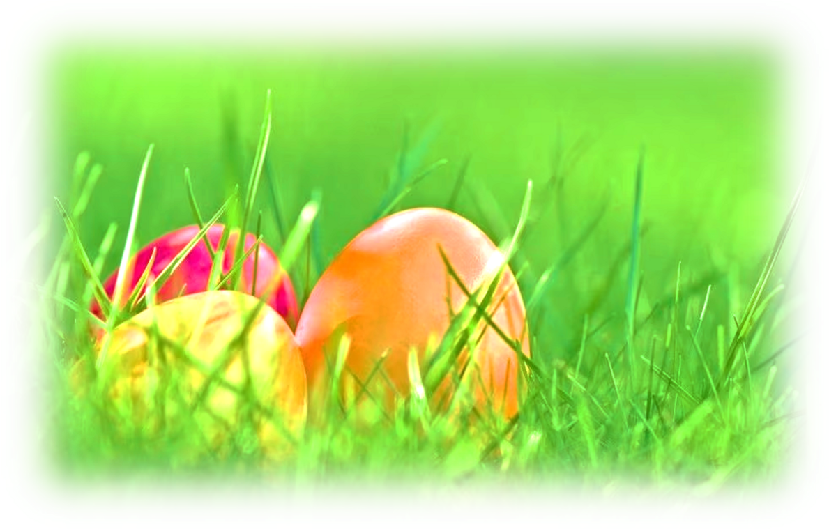 bff3df7901e60ab484eaf54d45532b72e87ca01f