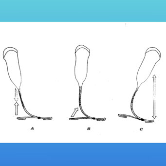 933ecd9c85cda1463c5032d3d72d5d569616d300