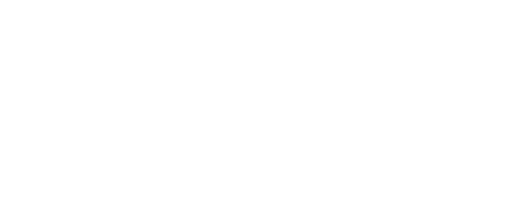 logo alex mari bianco scritta@3x