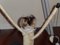 0cc753029c41471ae69e883dbfb0dcd0b2246a85