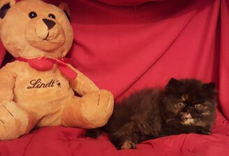 1065d3fa05be1d53bdd08f6dbe54f024731c5c39