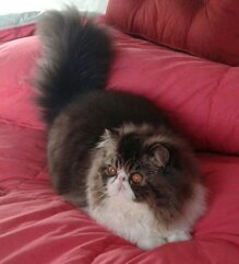 14faf78d121f982f602a6292fe5ec8c163838a4a