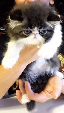 21edb78beacb3568e1be0affdfee23def949cc8e