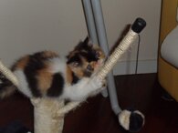 2450f5a52014208d2d96d349c4096501e125b37a