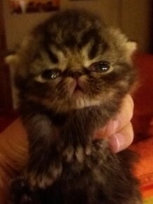 247c0029585b3df4b5cbfcfc2194cf0bdb3cba89