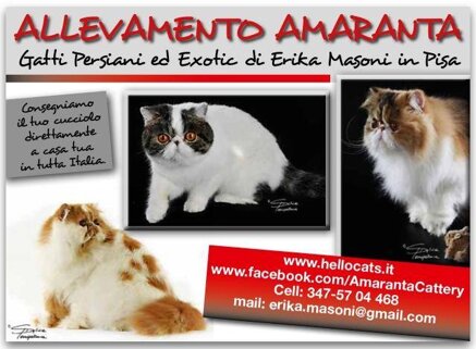 25719d3d5febfd18e5314c09670978ff555133f2 25719d3d5febfd18e5314c09670978ff555133f2