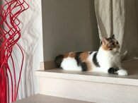 311cca677094475d3d01b684f83ca99652109e35