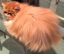 4a8fbb3c934fb8175bcf62becf8db3144a60970f