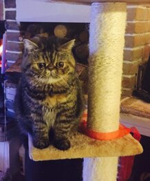 5331ec8f1e4c4764074a9ed968351eed029b8bd8