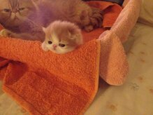 5816c6f909c7f576cbe279a504aa2a48f5172a49