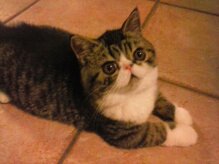 7333b88ac15d5868568ed26c13b93e12f5af55d2