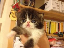 7a0b0635f22a40342a85637395a4e7722a5e1767