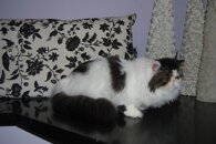 7b28856bb2cd05a50931cad498d23c238fa62ac0