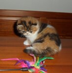 7bb3a420c356c7f53cbd2d6155562a9fd92fb47b