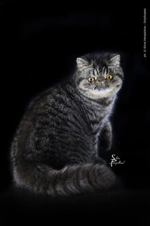 7d97223e40817e6516567b59771b13b50df3de2b