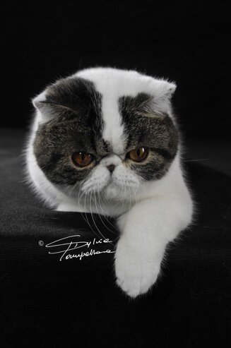 81c8f94accde99e665e2c29545b1044a30a1c1be