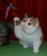 8369709c209e509589335da856dd4b1d9fda179e