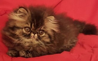 8bd782eec479b58ee1f3c0ab38914a2d0fb9f3d7