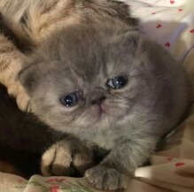 9284050f877da1c310eae9180d2d7f082dd499ee